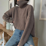 Women's  Knitted Turtleneck Sweater Oversize Pullover Long Sleeve Elegant Solid Warm Sweaters 2020 Winter Female Jumper Tops